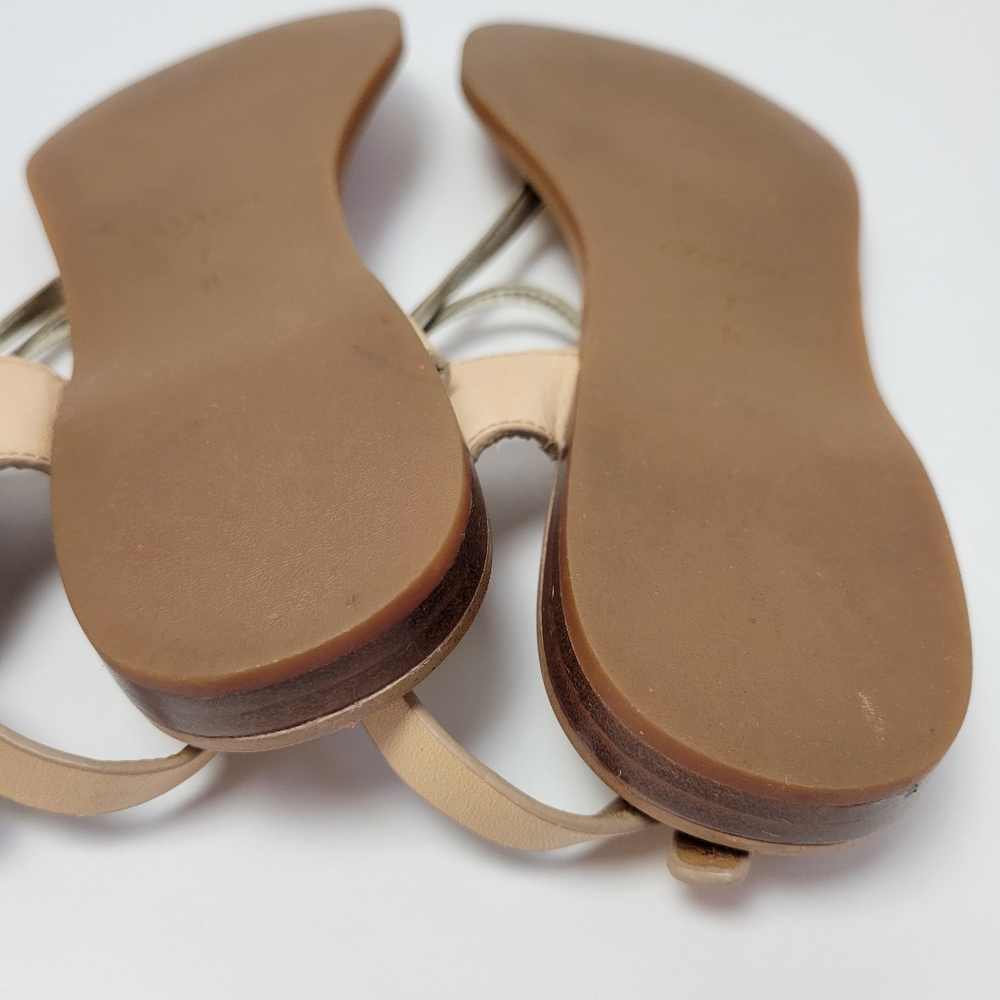 Coach Beige and Metallic Gold Leather T-Strap Sandals - Picture 15 of 16